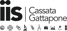 logo IIS Cassata Gattapone