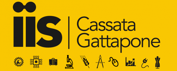 logo iis